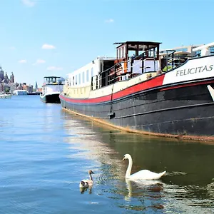 Felicitas * Ámsterdam