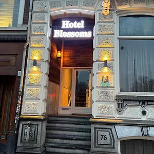 Blossoms City Hotel 2*