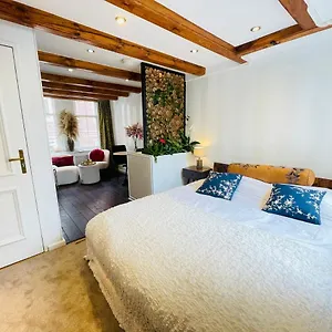 Luxury Suites The Enlightened House Bed & Breakfast