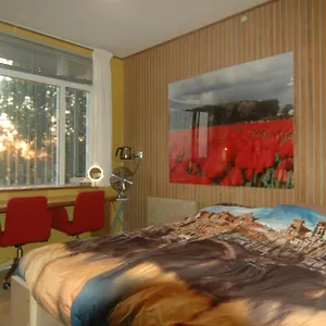Tulip Gallery 3* Амстердам