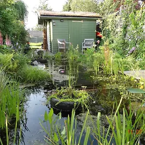 Bed & Breakfast Amsterzonian Amsterdam
