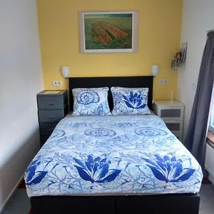 B&B Holy Dove